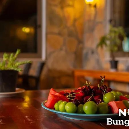 Bed & Breakfast Nun Bungalove Çıralı