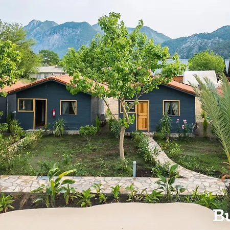 Bed & Breakfast Nun Bungalove