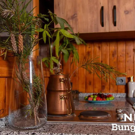 Bed & Breakfast Nun Bungalove Cirali