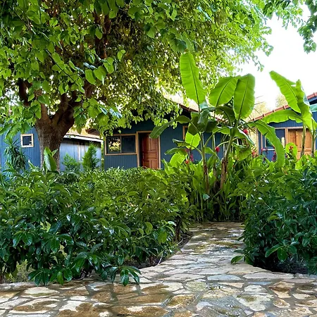 Nun Bungalove 4* Çıralı